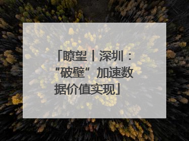 瞭望丨深圳：“破壁”加速数据价值实现