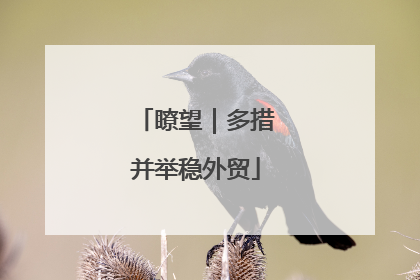 瞭望｜多措并举稳外贸