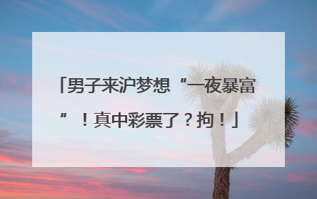 男子来沪梦想“一夜暴富”！真中彩票了？拘！