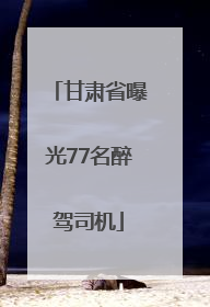 甘肃省曝光77名醉驾司机