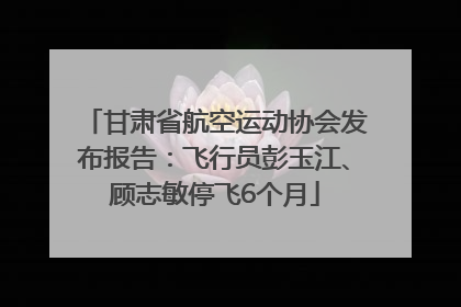 甘肃省航空运动协会发布报告：飞行员彭玉江、顾志敏停飞6个月