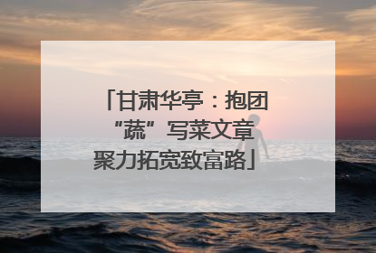甘肃华亭：抱团“蔬”写菜文章 聚力拓宽致富路