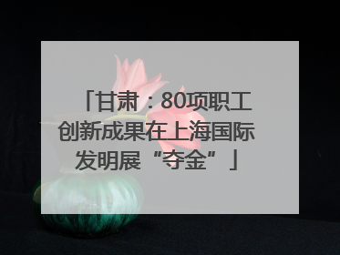 甘肃：80项职工创新成果在上海国际发明展“夺金”