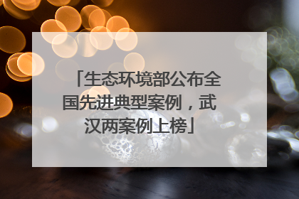 生态环境部公布全国先进典型案例，武汉两案例上榜