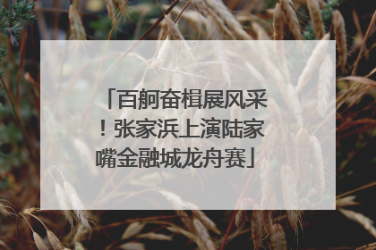 百舸奋楫展风采！张家浜上演陆家嘴金融城龙舟赛