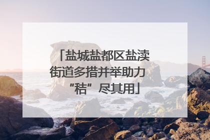 盐城盐都区盐渎街道多措并举助力“秸”尽其用