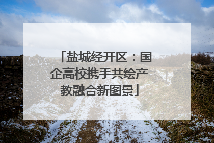 盐城经开区：国企高校携手共绘产教融合新图景