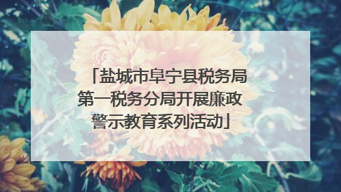 盐城市阜宁县税务局第一税务分局开展廉政警示教育系列活动