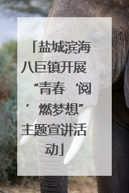 盐城滨海八巨镇开展“青春‘阅’燃梦想”主题宣讲活动