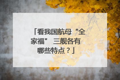 看我国航母“全家福” 三舰各有哪些特点？