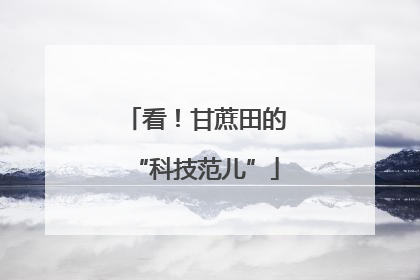 看！甘蔗田的“科技范儿”