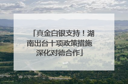 真金白银支持！湖南出台十项政策措施深化对德合作