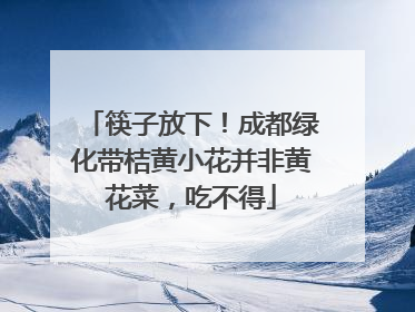 筷子放下！成都绿化带桔黄小花并非黄花菜，吃不得