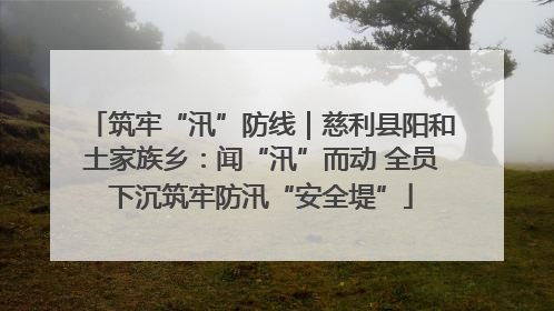 筑牢“汛”防线｜慈利县阳和土家族乡：闻“汛”而动 全员下沉筑牢防汛“安全堤”