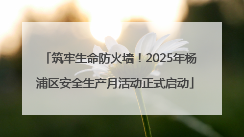 筑牢生命防火墙！2025年杨浦区安全生产月活动正式启动