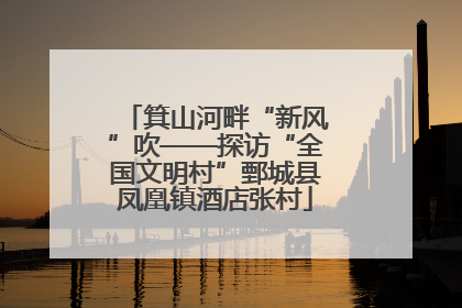 箕山河畔“新风”吹——探访“全国文明村”鄄城县凤凰镇酒店张村