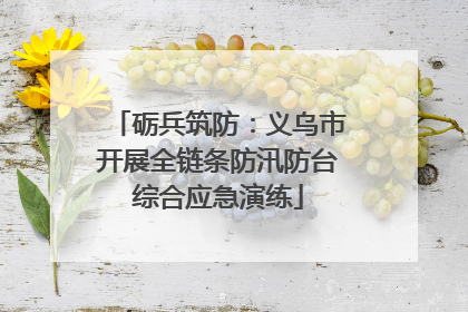 砺兵筑防：义乌市开展全链条防汛防台综合应急演练
