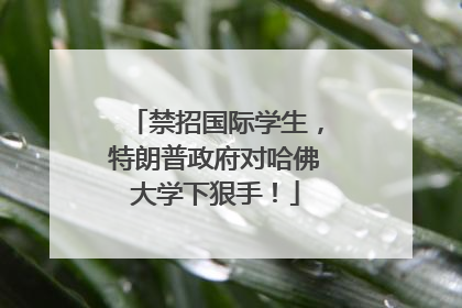禁招国际学生，特朗普政府对哈佛大学下狠手！