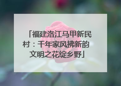 福建洛江马甲新民村：千年家风拂新韵 文明之花绽乡野