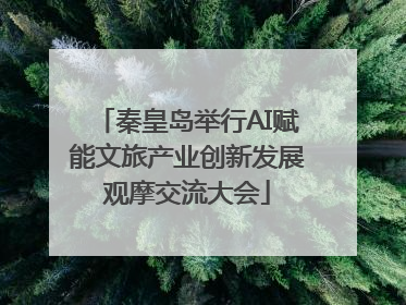 秦皇岛举行AI赋能文旅产业创新发展观摩交流大会