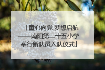 童心向党 梦想启航——南阳第二十五小学举行新队员入队仪式