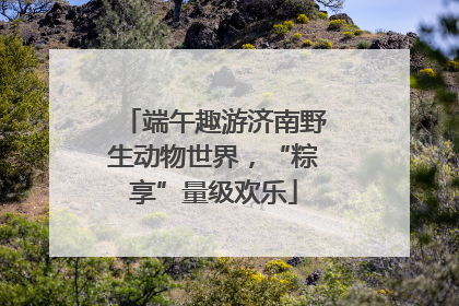 端午趣游济南野生动物世界，“粽享”量级欢乐