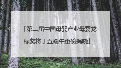 第二届中国母婴产业母婴龙标奖将于五端午重磅揭晓