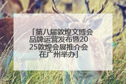 第八届敦煌文博会品牌运营发布暨2025敦煌会展推介会在广州举办
