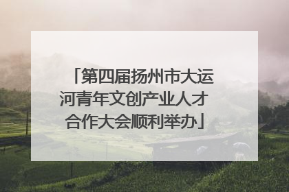 第四届扬州市大运河青年文创产业人才合作大会顺利举办