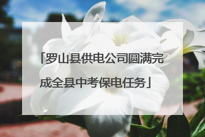 罗山县供电公司圆满完成全县中考保电任务