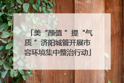 美“颜值 ”提“气质 ”济阳城管开展市容环境集中整治行动