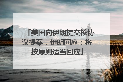 美国向伊朗提交核协议提案，伊朗回应：将按原则适当回应