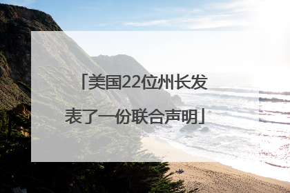 美国22位州长发表了一份联合声明