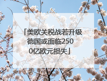 美欧关税战若升级 德国或面临2500亿欧元损失