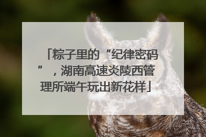 粽子里的“纪律密码”，湖南高速炎陵西管理所端午玩出新花样