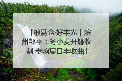 粮满仓·好丰光｜滨州邹平：冬小麦开镰收割 奏响夏日丰收曲