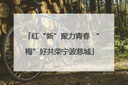 红“新”聚力青春 “梅”好共荣宁波慈城