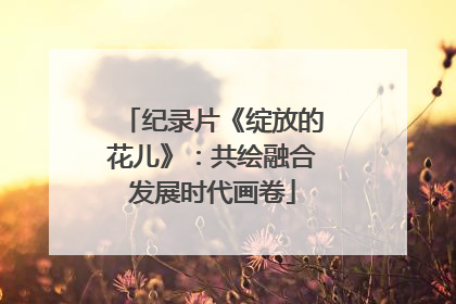 纪录片《绽放的花儿》：共绘融合发展时代画卷