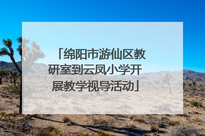 绵阳市游仙区教研室到云凤小学开展教学视导活动