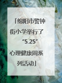 绵阳市警钟街小学举行了“5.25”心理健康周系列活动