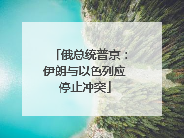 俄总统普京：伊朗与以色列应停止冲突