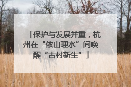 保护与发展并重，杭州在“依山理水”间唤醒“古村新生”