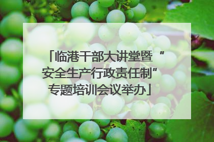 临港干部大讲堂暨“安全生产行政责任制”专题培训会议举办