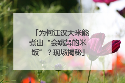 为何江汉大米能煮出“会跳舞的米饭”？现场揭秘