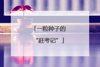 一粒种子的“赶考记”
