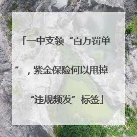一中支领“百万罚单”，紫金保险何以甩掉“违规频发”标签