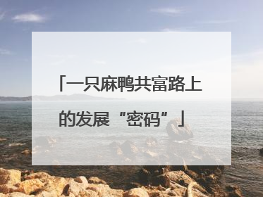 一只麻鸭共富路上的发展“密码”