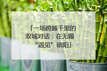 一场跨越千里的双城对话：在无锡“遇见”德阳