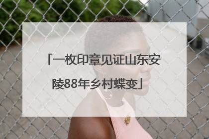 一枚印章见证山东安陵88年乡村蝶变