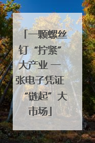 一颗螺丝钉“拧紧”大产业 一张电子凭证“链起”大市场